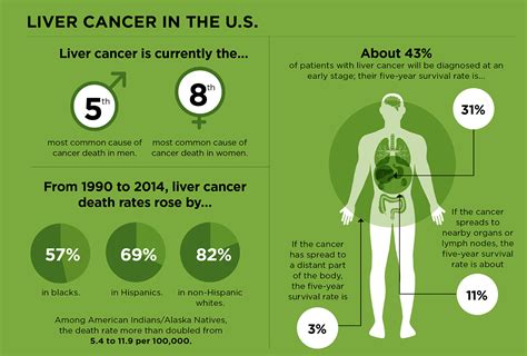 hur är prognosen för levercancer